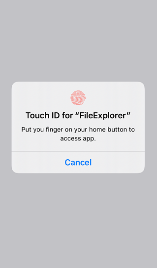 Touch ID for File Explorer on iPhone