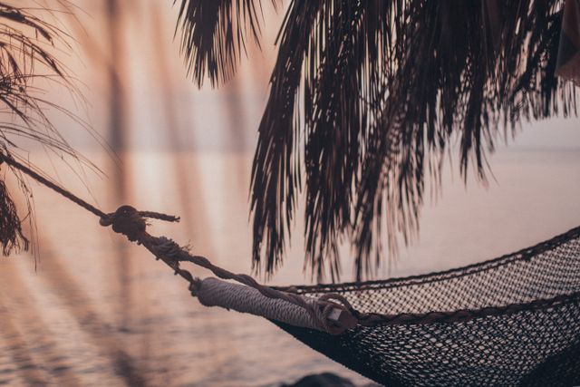 A serene hammock swinging under palm leaves by the seaside during a calm evening sunset