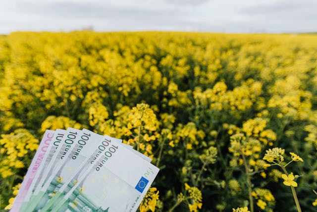 Crop man with paper banknotes on blooming meadow.jpg