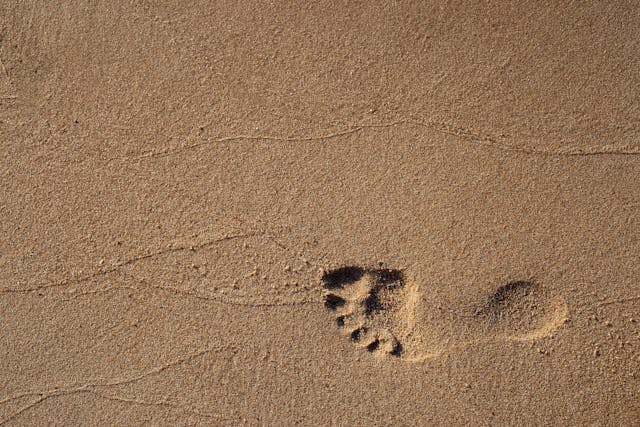 Footprint on Sand.jpg