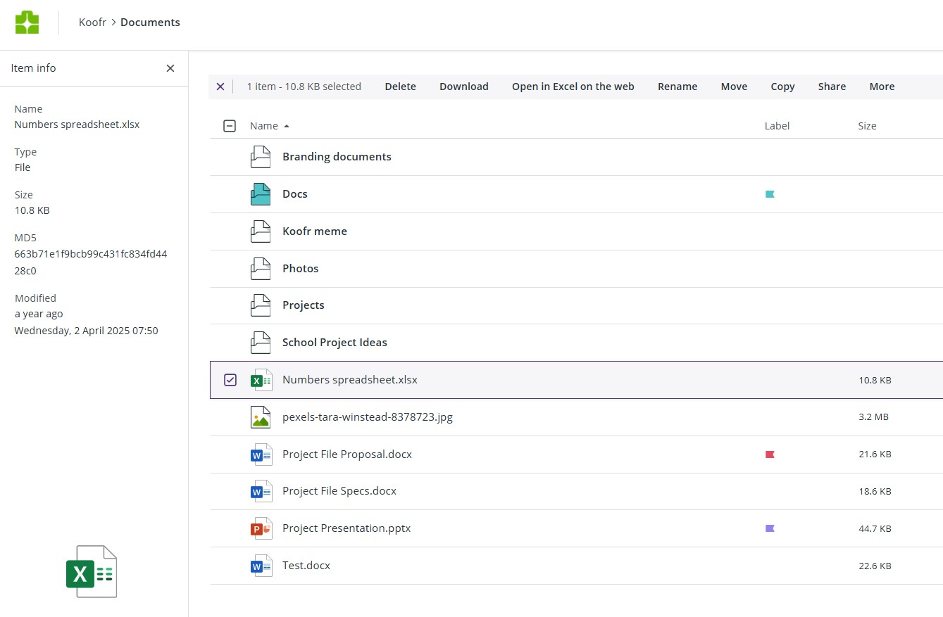 Koofr select file by extension actions.jpg