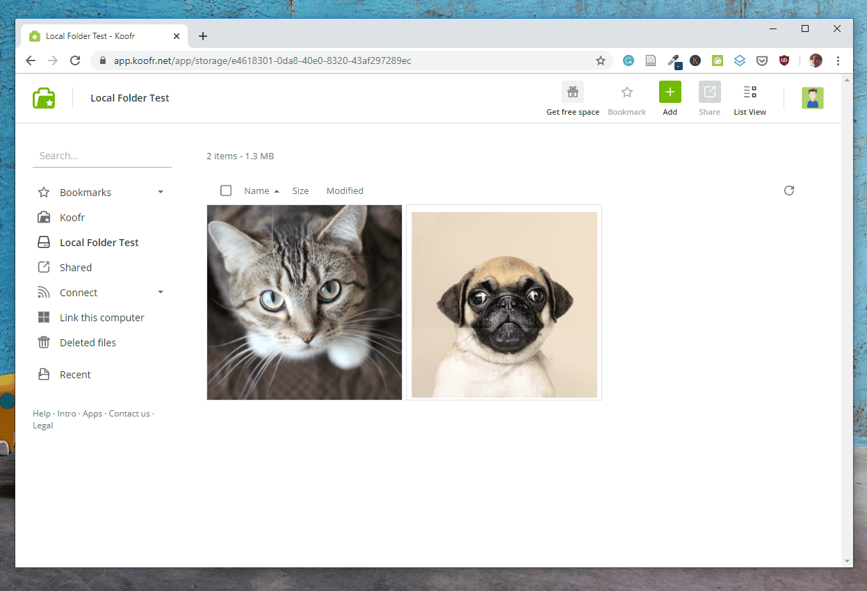 Photo gallery in the Koofr web app