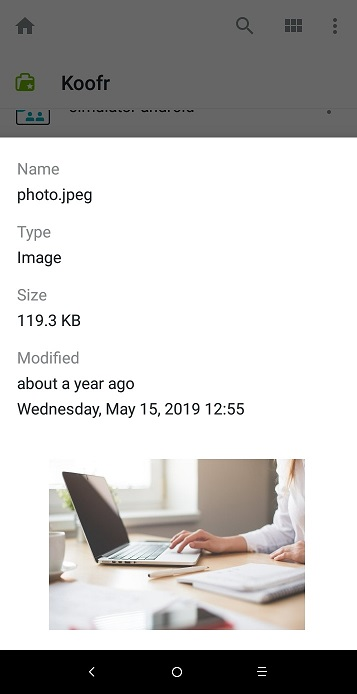 Screenshot of file details dialogue in the Koofr app for Android.
