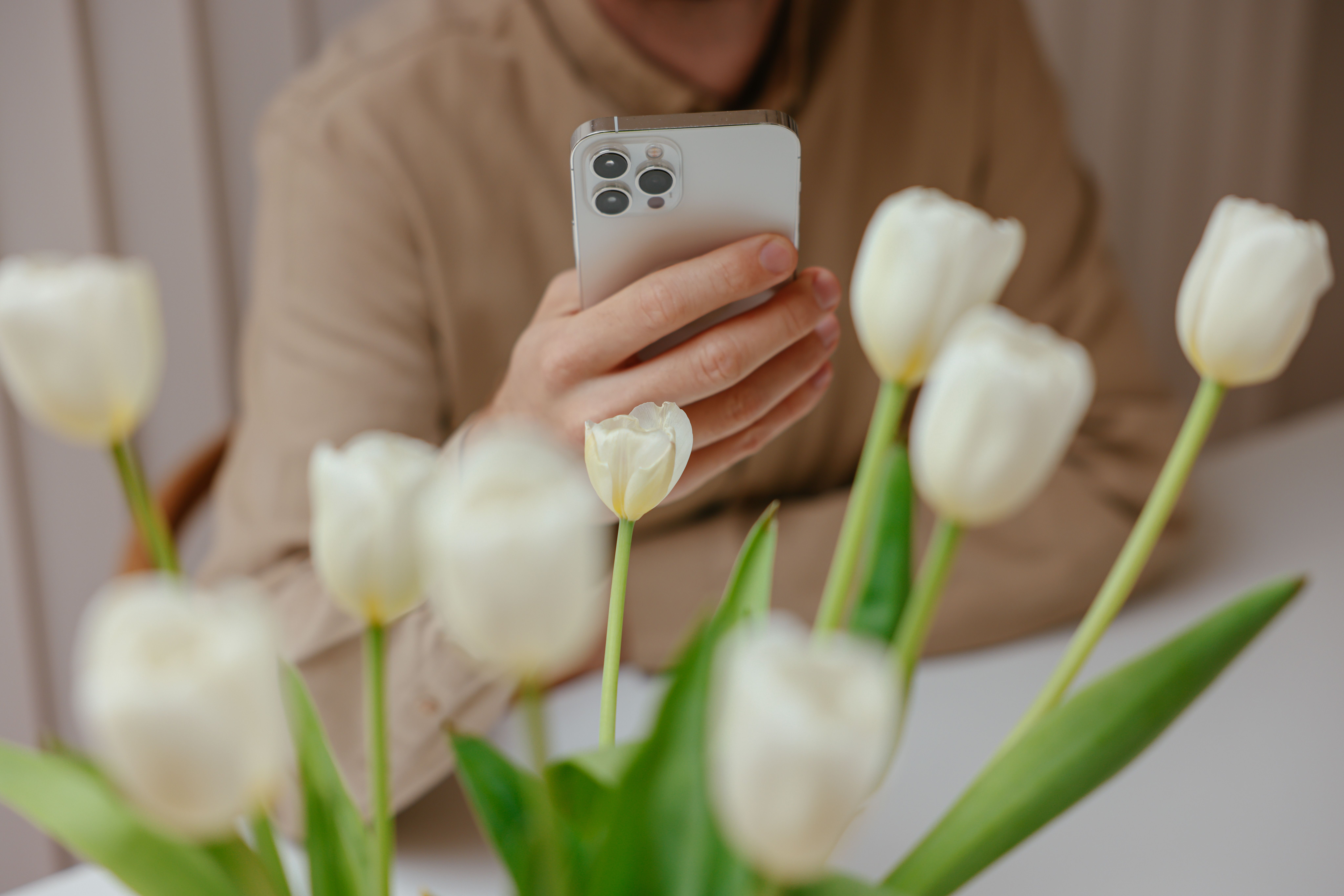 A person searching on iphone