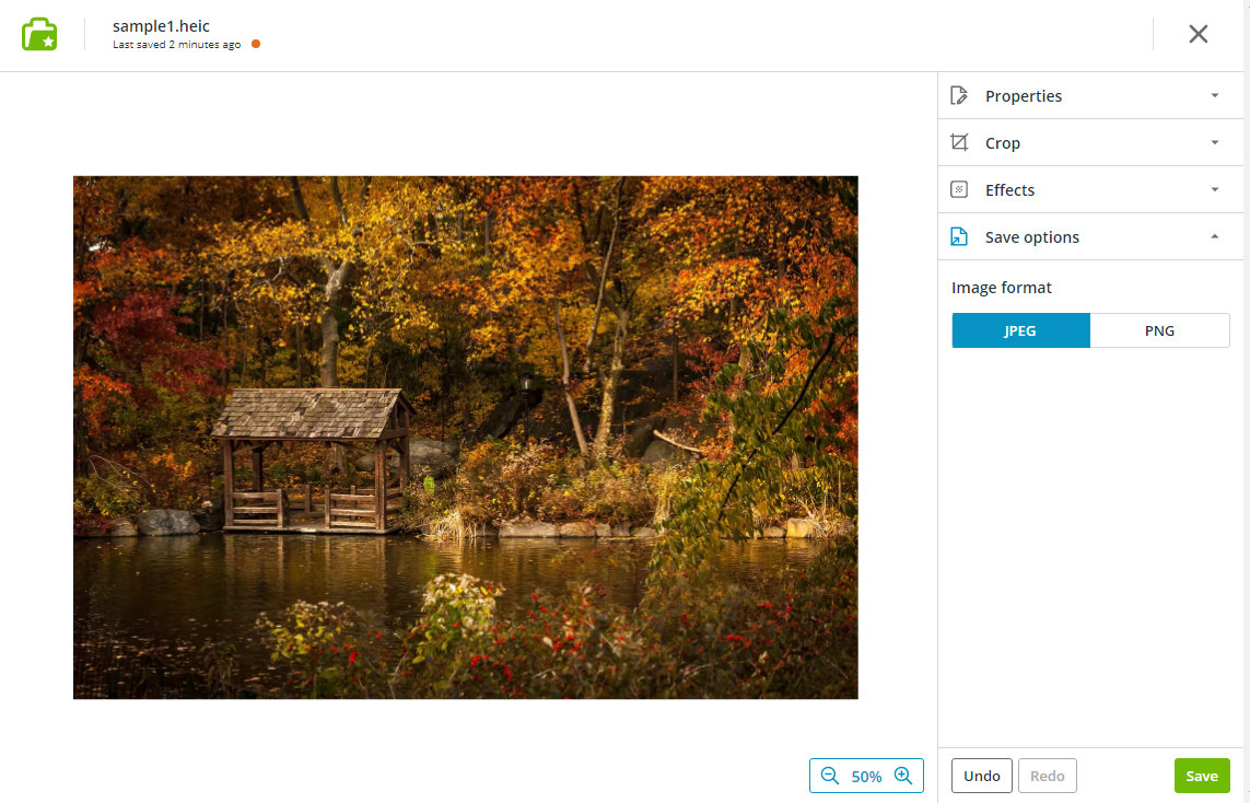 Screenshot of Image editor enabling JPEG or PNG format selection on Koofr.