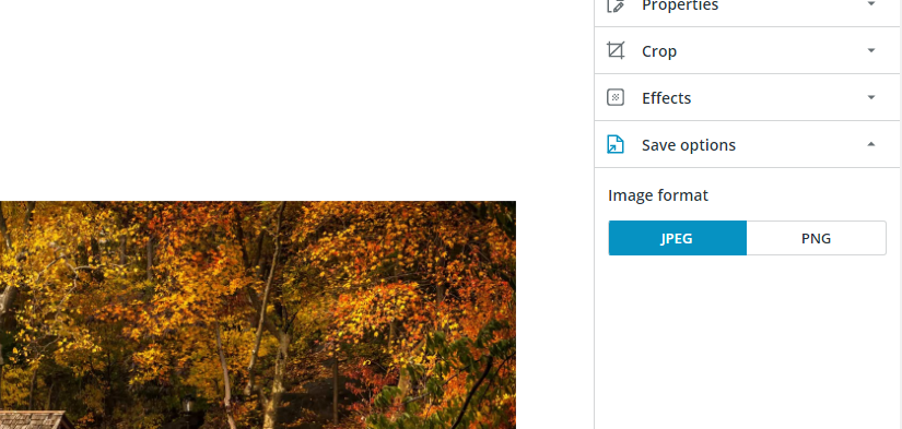Screenshot of Image editor with Save options displayed on Koofr.