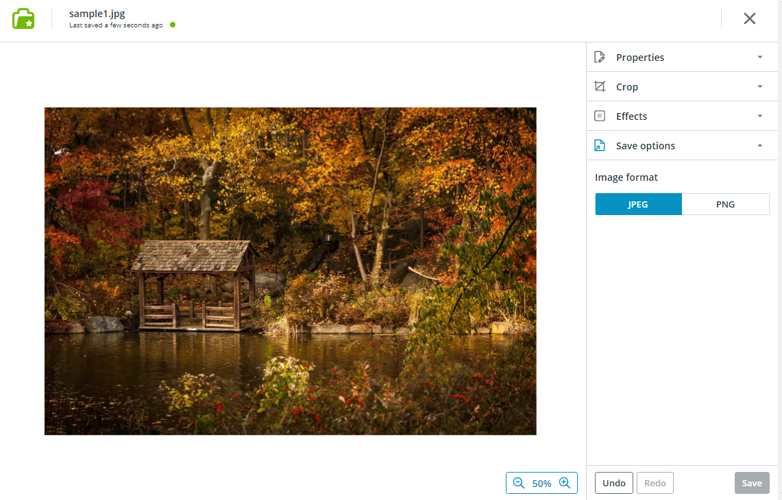 Screenshot of Image editor displaying new image file, converted from HEIC to JPEG.