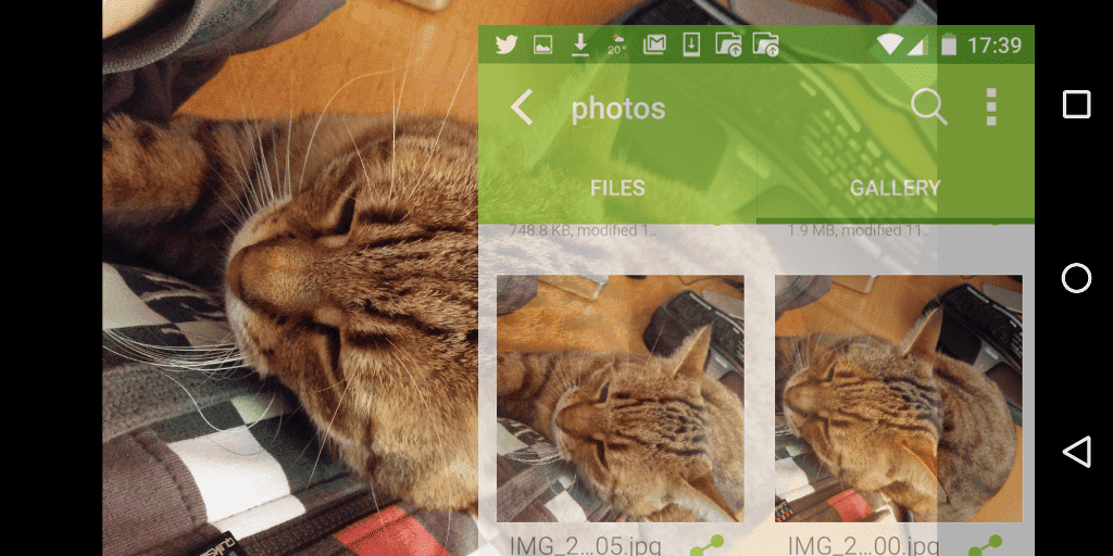 Photo gallery in koofr