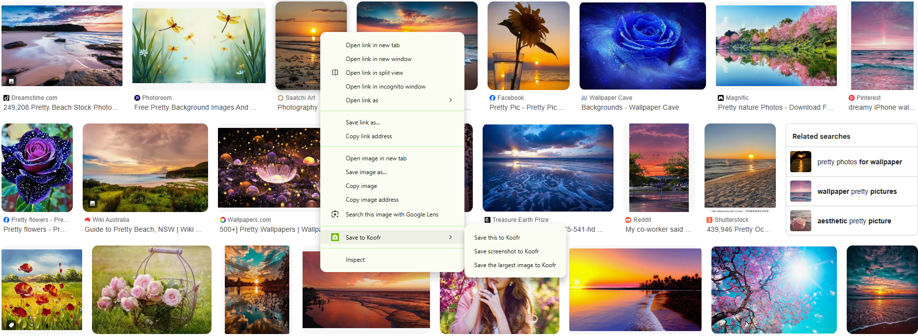 save to koofr - different options for saving images