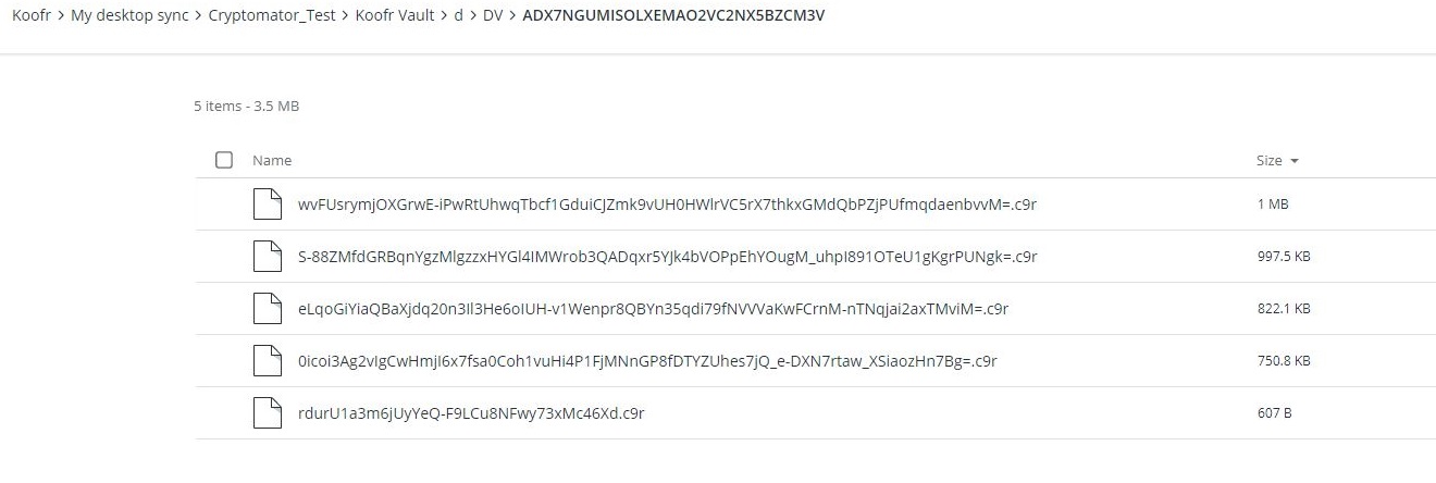 Your encrypted files can now be found in the designated folder in your Koofr.
