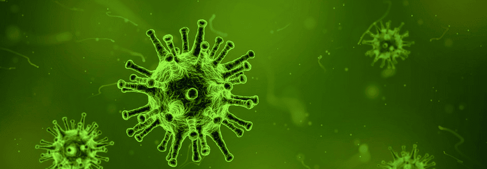 Virus